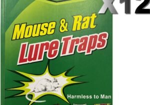 TRAMPA PARA RATAS RATONES PEGAMENTO SIN VENENO ADHESIVAS X12